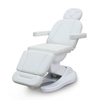 Pink Luxury Electric Massage Table Beauty Salon Facial Bed